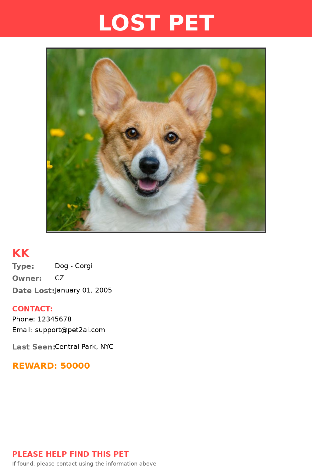 Lost Pet Poster Sample